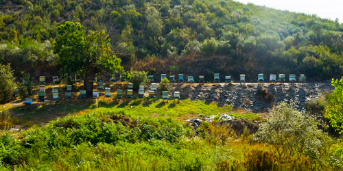 O Marquesado Apiturismo Pack A Medida