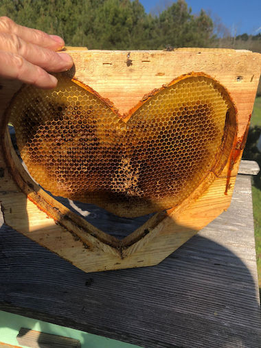 Honeylove y Apisofía